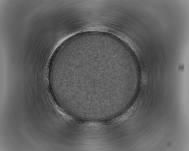 X0000096680830200802261514