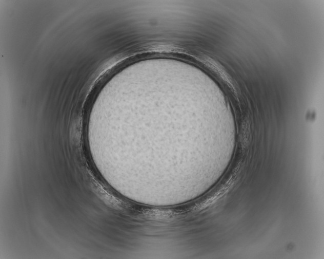 X0000096680831200802261514