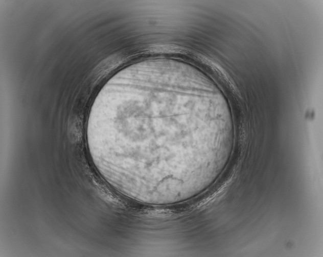 X0000096680833200802261514