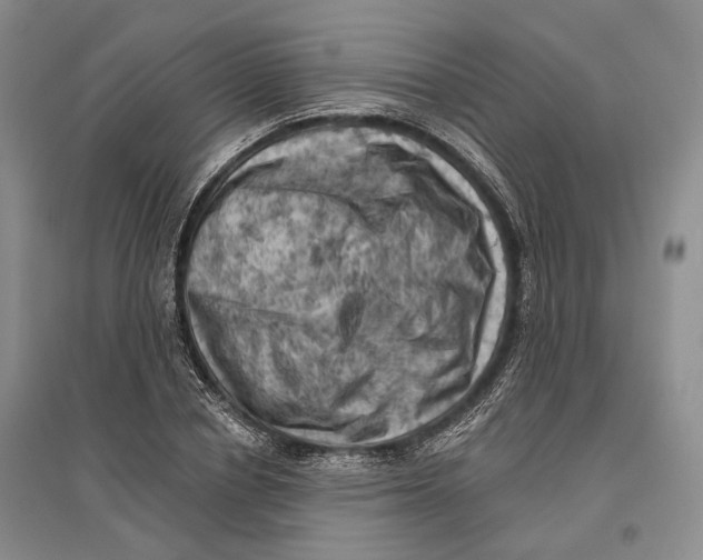 X0000096680834200802261514