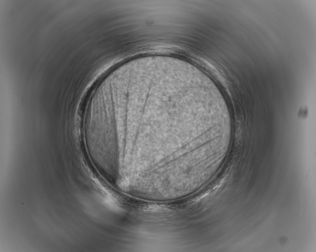 X0000096680835200802261514