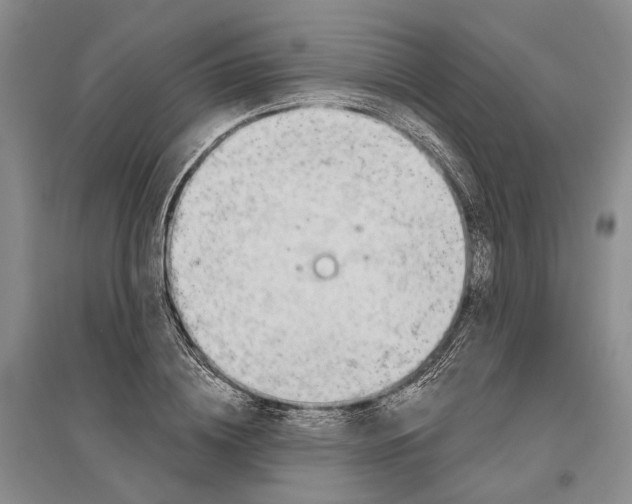 X0000096680836200802261514