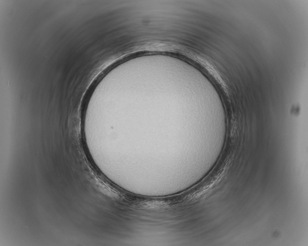 X0000096680837200802261514