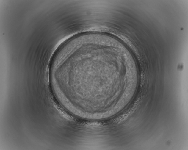 X0000096680838200802261514