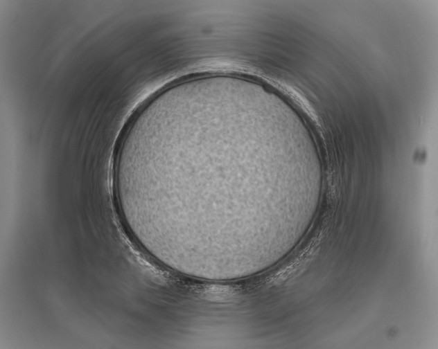 X0000096680839200802261514