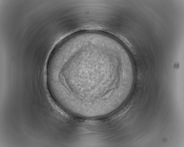 X0000096680840200802261514