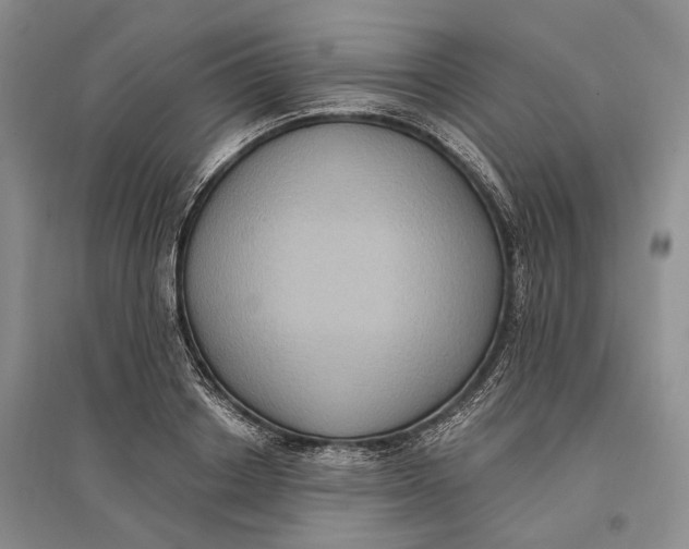 X0000096680842200802261514