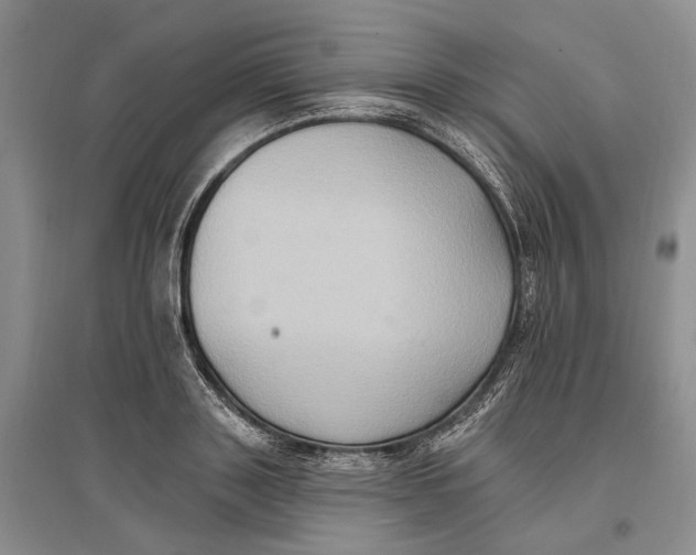 X0000096680843200802261514