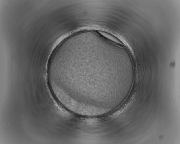 X0000096680845200802261514