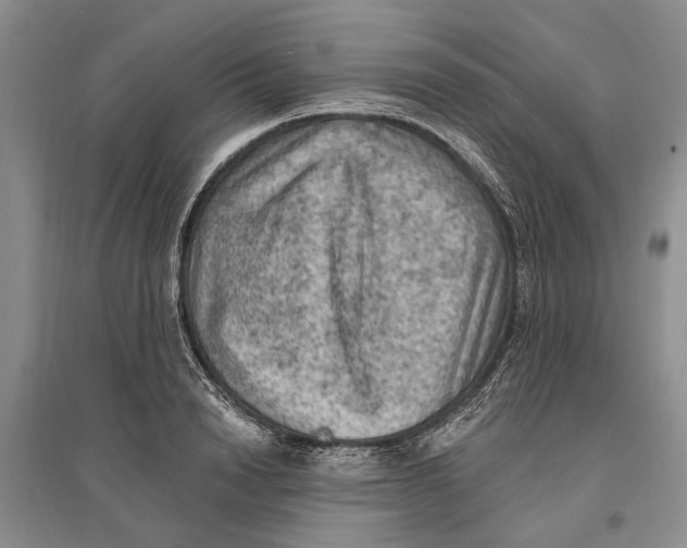 X0000096680846200802261514