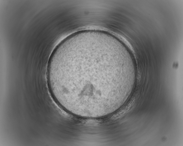 X0000096680847200802261514