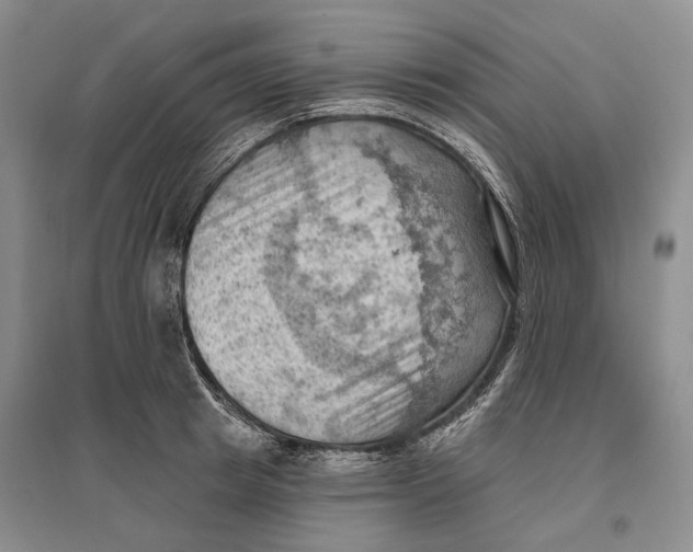 X0000096680849200802261514