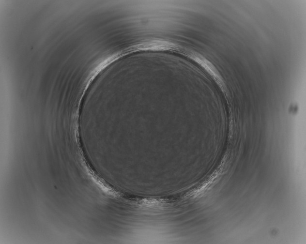 X0000096680850200802261514