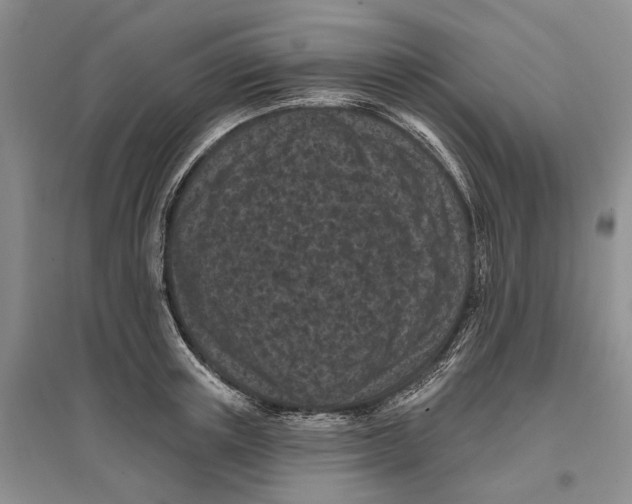 X0000096680851200802261514