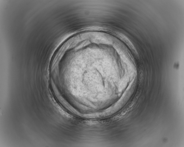 X0000096680852200802261514