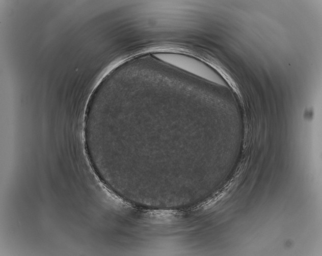 X0000096680853200802261514