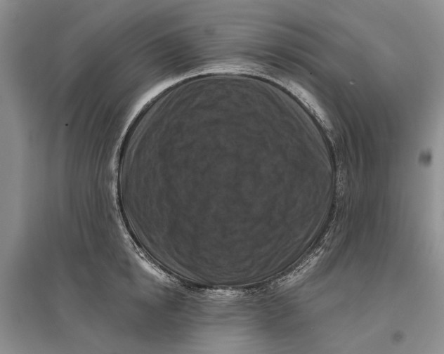 X0000096680854200802261514