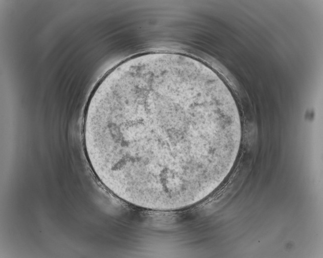 X0000096680856200802261514