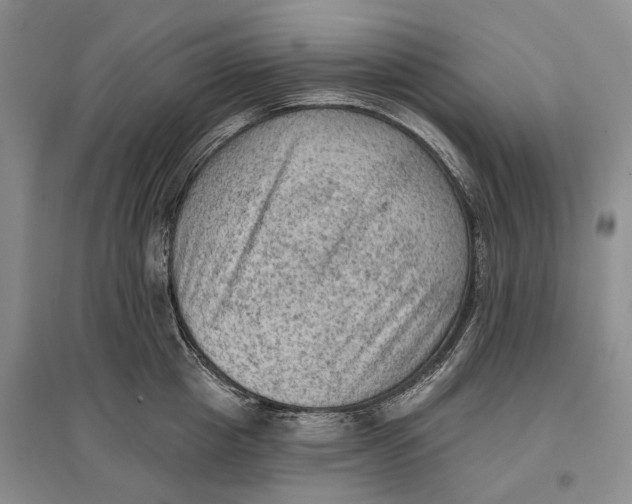 X0000096680857200802261514