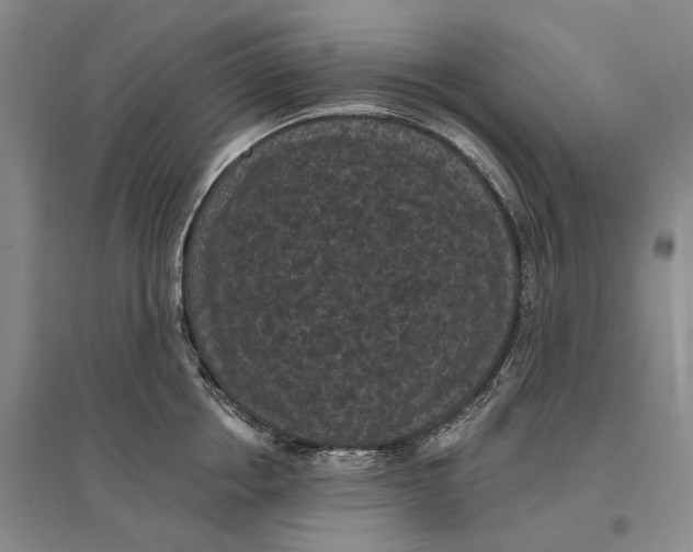 X0000096680858200802261514