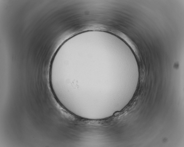 X0000096680861200802261514