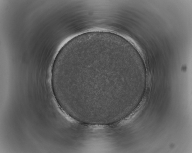 X0000096680862200802261514