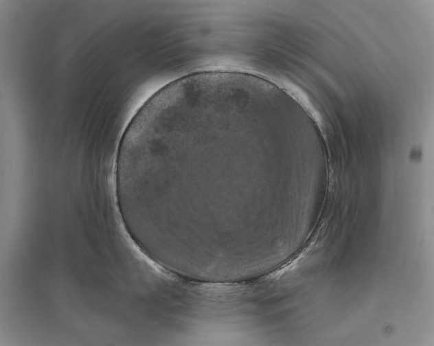 X0000096680863200802261514