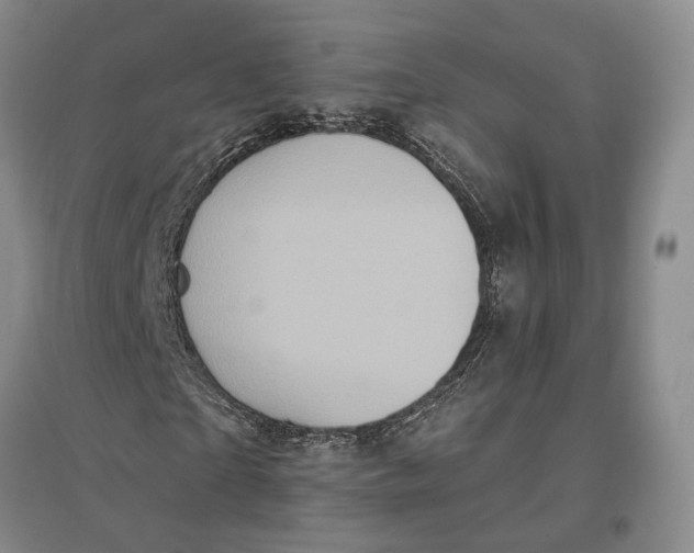 X0000096680865200802261514