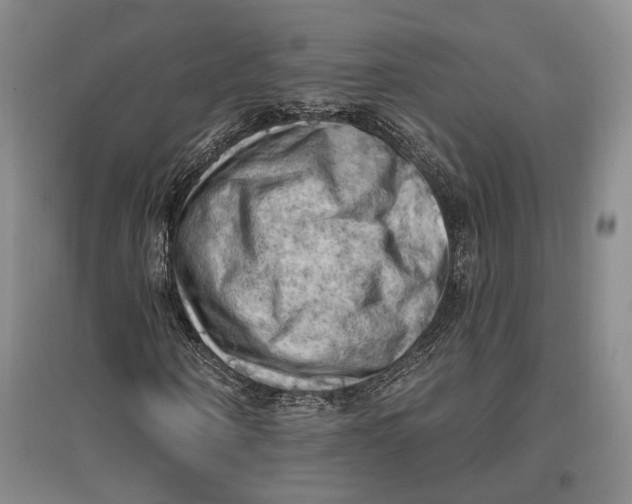 X0000096680866200802261514