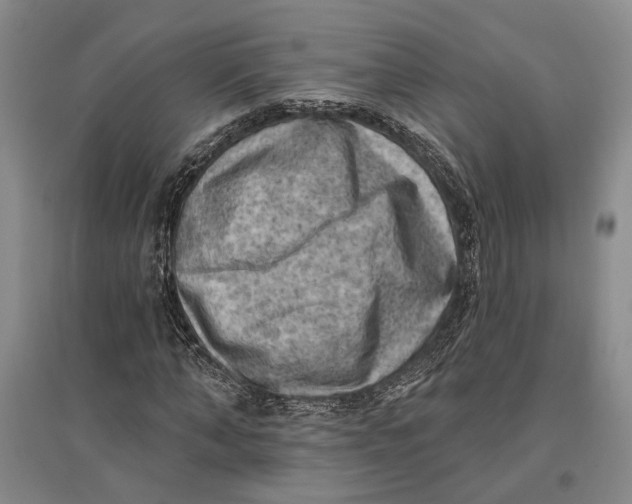 X0000096680870200802261514