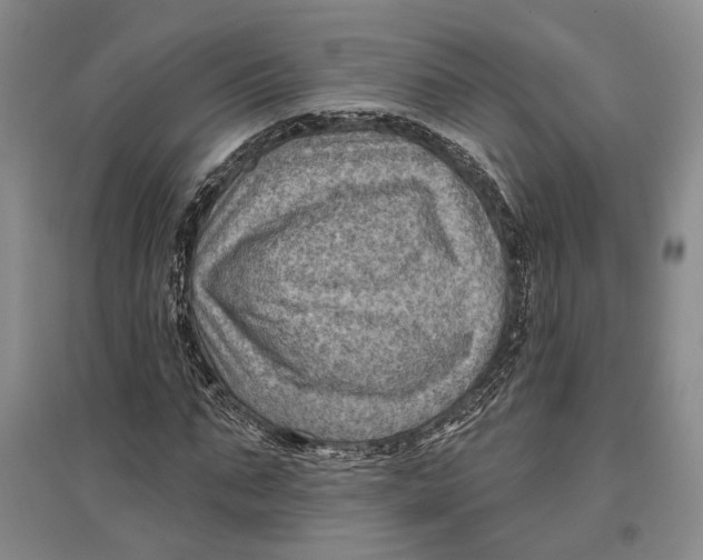 X0000096680871200802261514