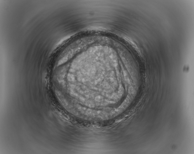 X0000096680872200802261514