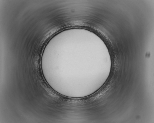 X0000096680873200802261514