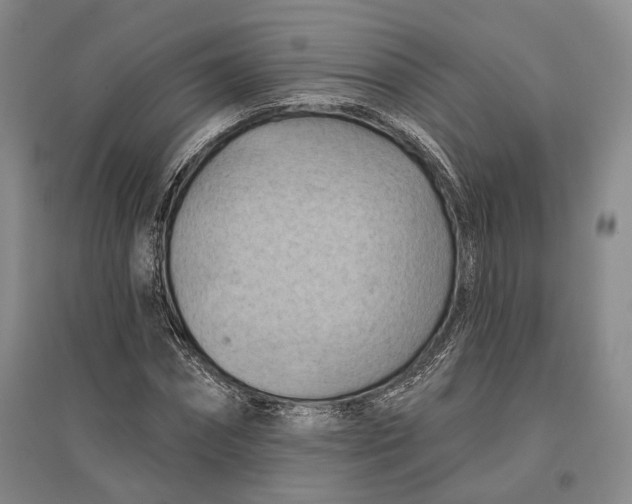 X0000096680874200802261514