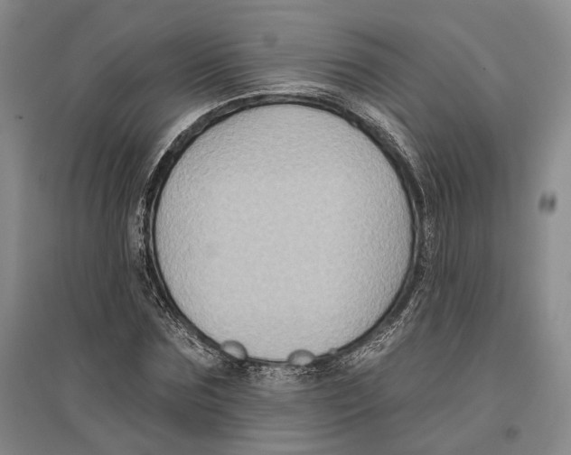 X0000096680875200802261513