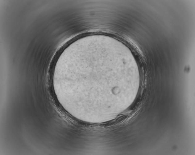 X0000096680876200802261513