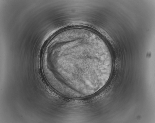 X0000096680877200802261513