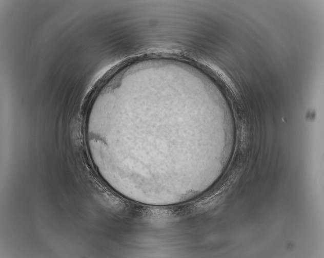 X0000096680878200802261513