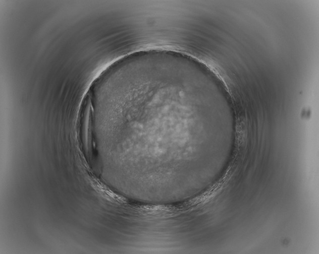 X0000096680879200802261513