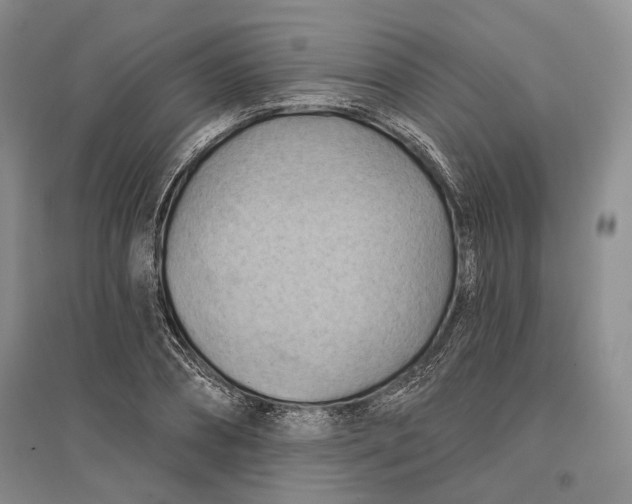 X0000096680882200802261513