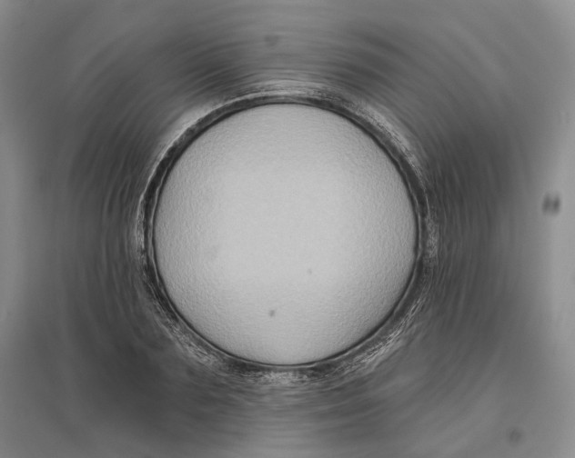 X0000096680883200802261513