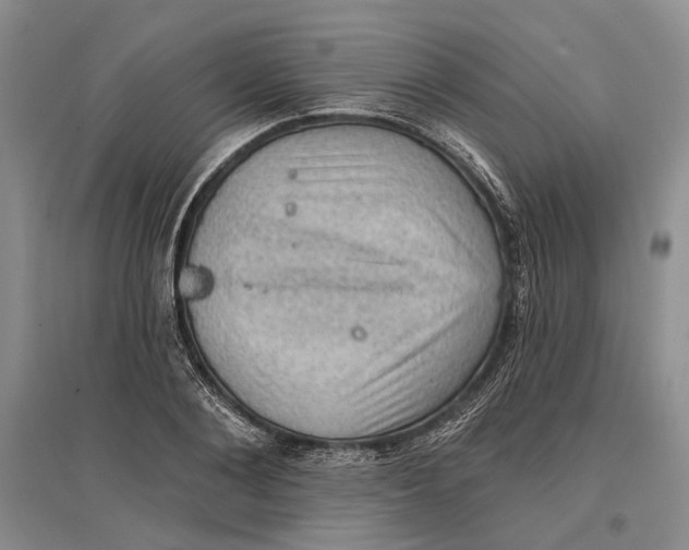 X0000096680884200802261513