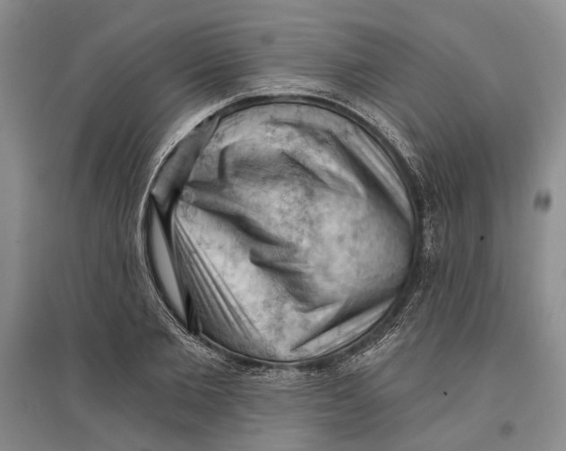 X0000096680885200802261513