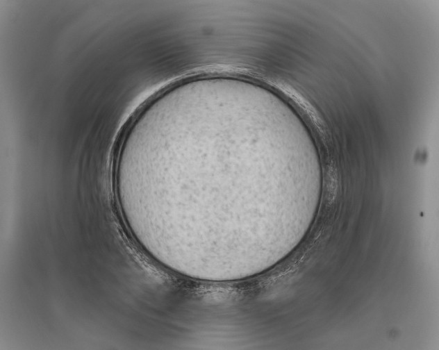 X0000096680886200802261513