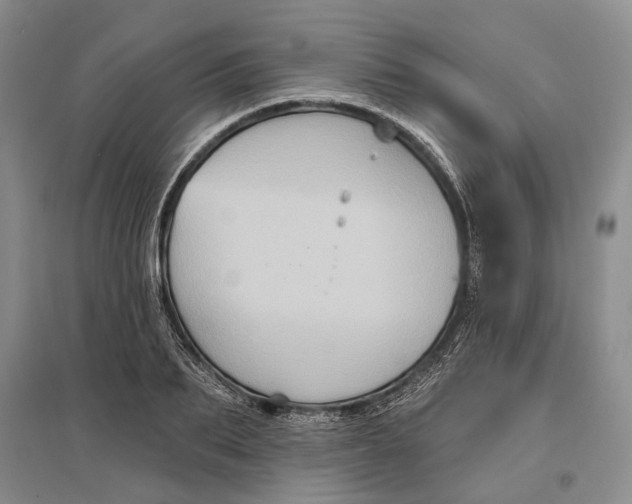 X0000096680887200802261513