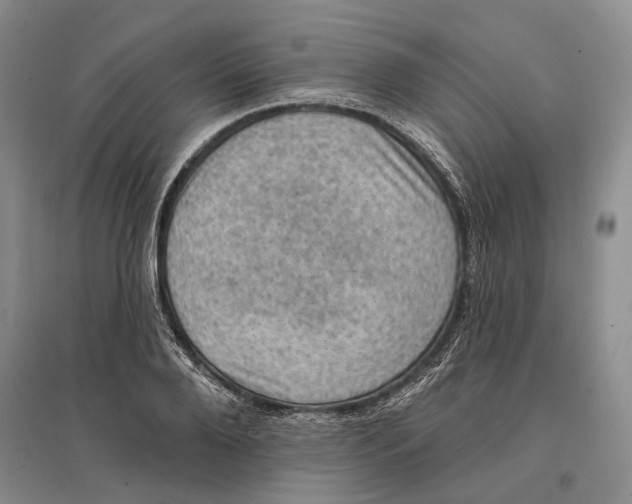 X0000096680888200802261513