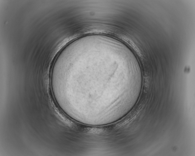 X0000096680890200802261513