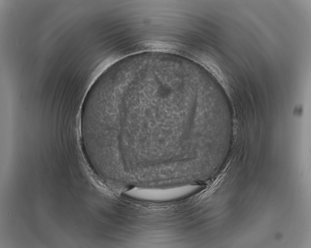 X0000096680891200802261513