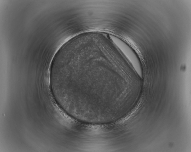 X0000096680892200802261513