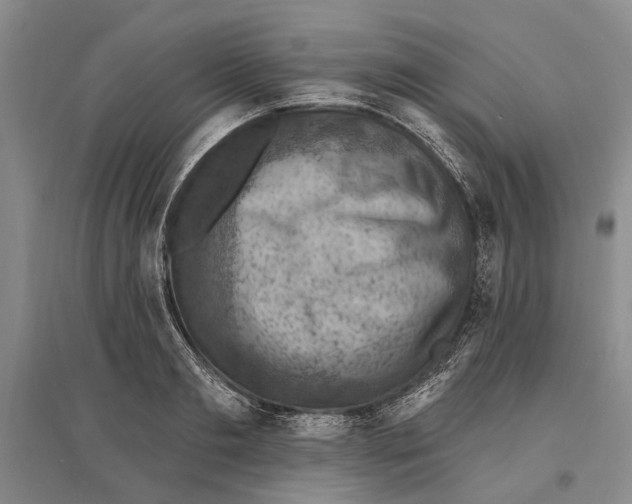 X0000096680893200802261513